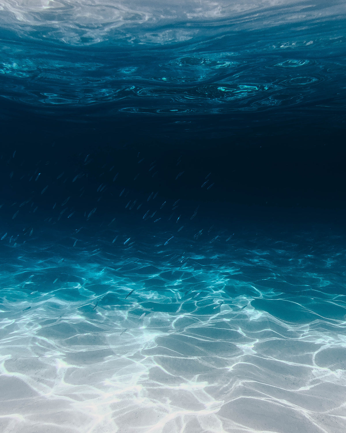The Saltless Sea - A Poem by Katie — Bonjibon