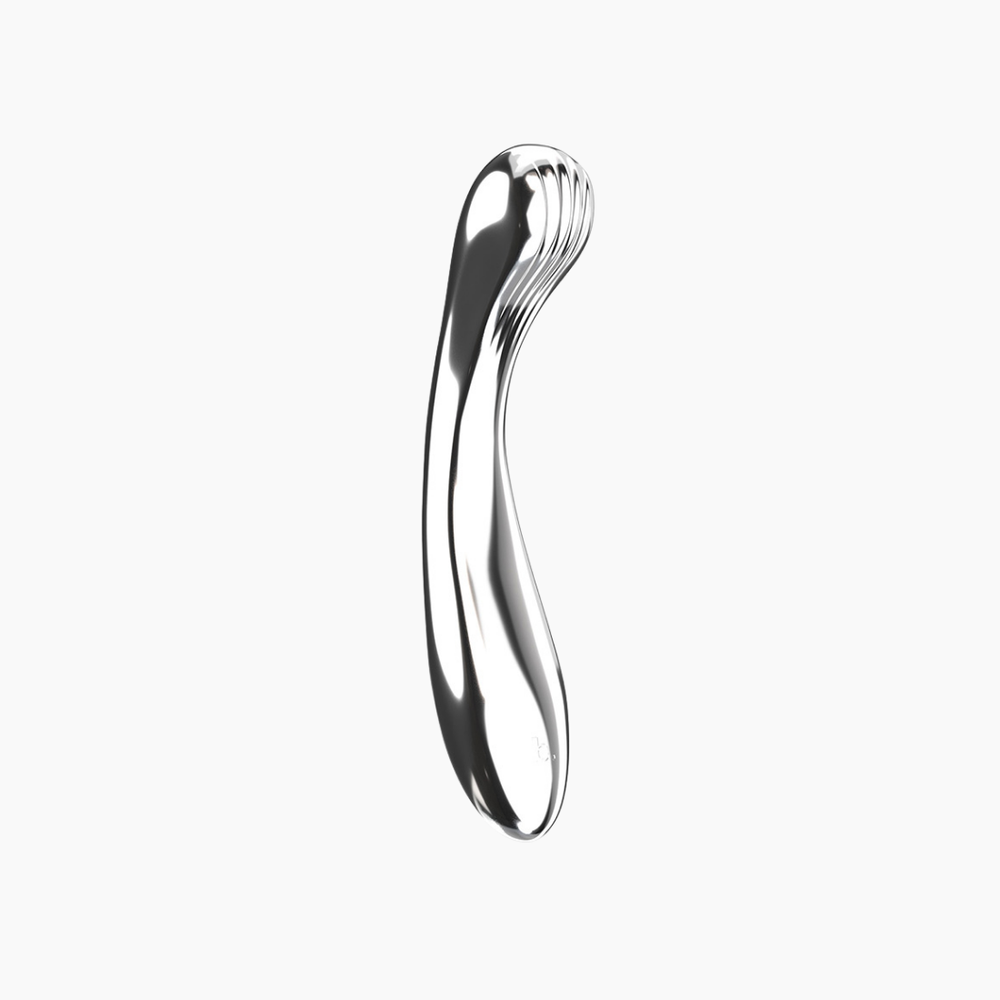 Biird Polii Stainless Steel Dildo