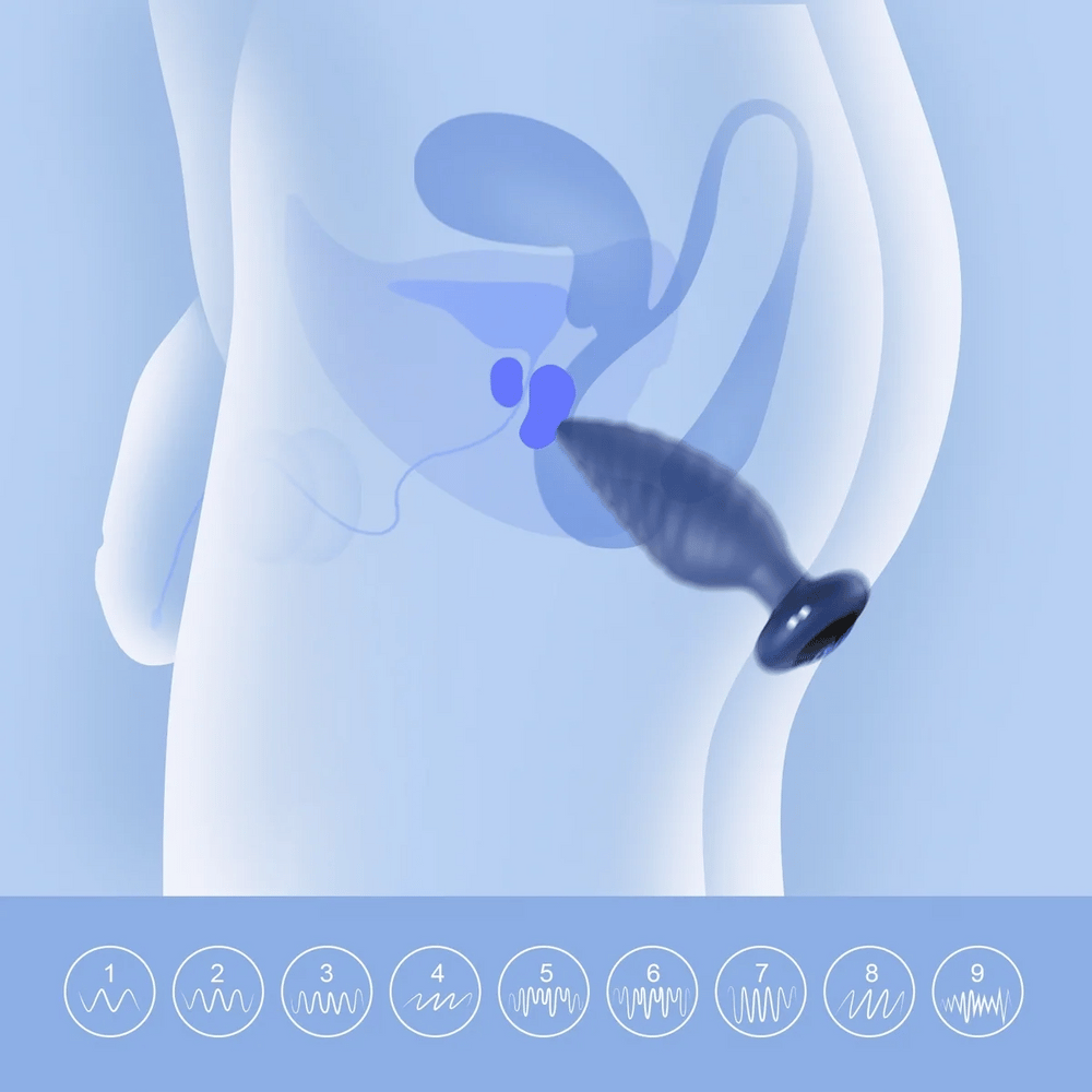 Anal plug gif Anal plug gif